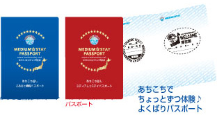 MSパスポート事業
